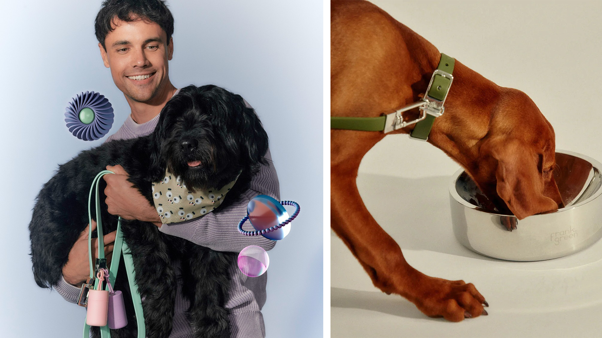 Frank Green dogs and owner